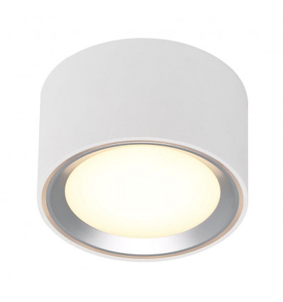 Fallon | Brushed Steel