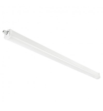 Oakland 120 | Single | White