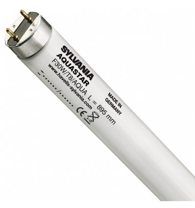 AUQASTAR F30W/174 G13