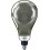 CL LEDbulb Giant A160 6.5W-25W 230V E27 840 smoky Dim