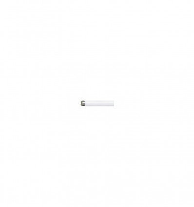 MASTER TL-D Super 80 14W/840 10 sztuk