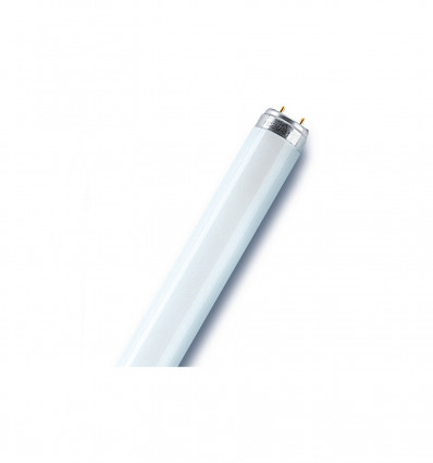 LUMILUX T8  L 36 W/827-1 10 sztuk