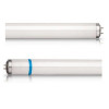 Actinic BL TL-D 18W/10 Secura G13
