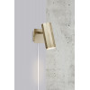 Alanis | Wall | Brass