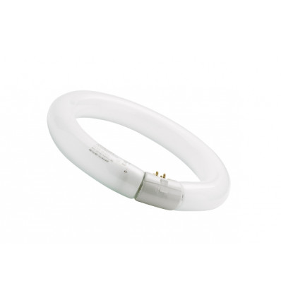 SYLVANIA CIRCLINE T9 FC 32W/865 G10Q