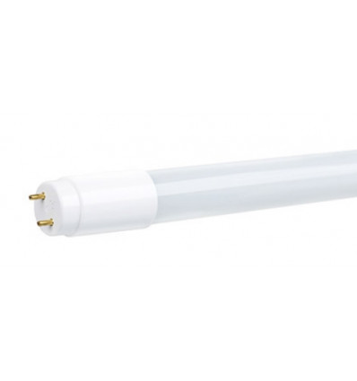 LED 8/T8 SGM 2ft/840/220-240V BX1/15