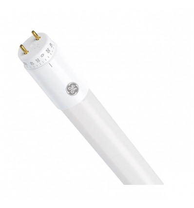 LED 8/T8 PPR 2ft/865/100-240V BX1/10