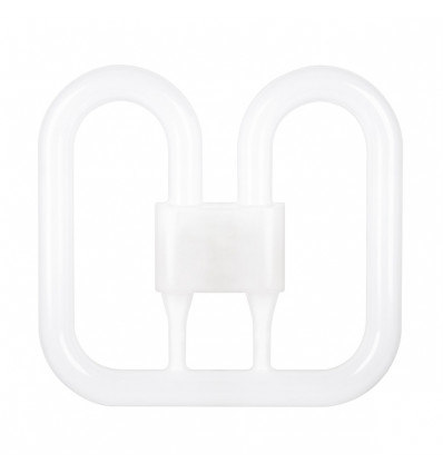 LED 2D4P 12.5W/CCG/840/GR10q