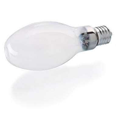 BLV HIE 100 WW E27 MATT