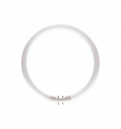 MASTER TL5 Circular 55W/830 1CT