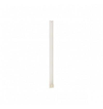 MASTER PL-L 40W/830/4P 1CT