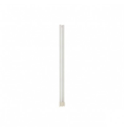 MASTER PL-L 55W/865/4P 1CT