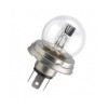 PHILIPS R2 55/50W 24V P45T-41